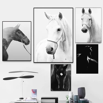 Черно-белое настенное искусство на холсте, плакаты с животными и лошадьми, принты с изображением скакуна, современные картины для декора гостиной и спальни