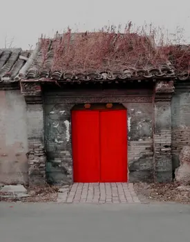 5x7 футов Китайский Традиционный Заброшенный Дом Фотофоны Реквизит для Фотосъемки Студийный Фон